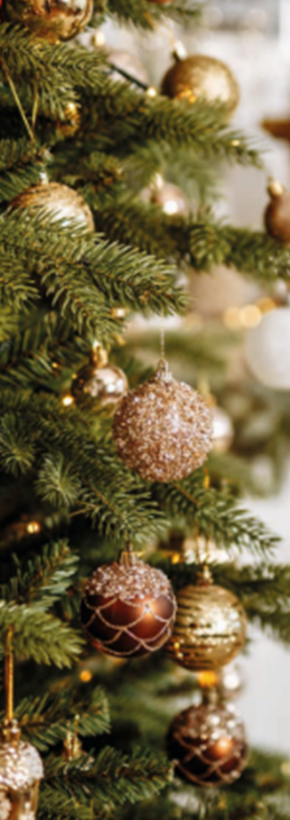 Festive Lunches at Kenwood Hall Hotel in Sheffield